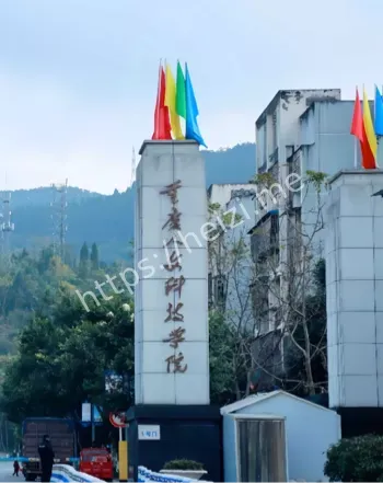 重庆人文科技学院音乐老师自杀